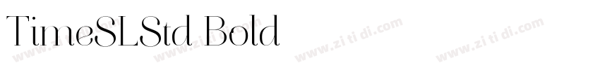 TimeSLStd Bold字体转换